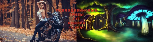 ешки Богданович