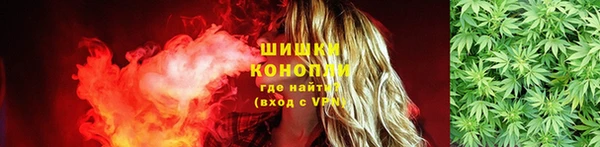 ешки Богданович