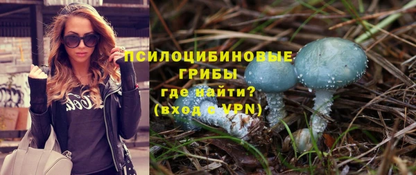 ешки Богданович
