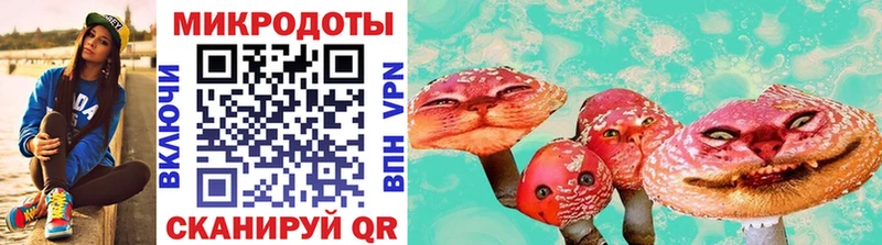 Галлюциногенные грибы прущие грибы Екатеринбург